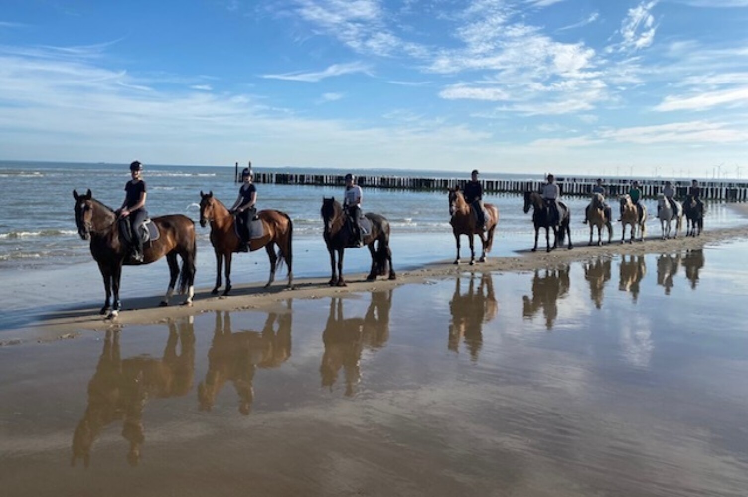 Paardrijden in Zeeland | Groenendijk Verhuur